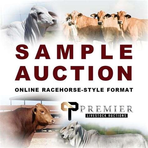 Premier livestock - September 9, 2023. Featuring 80 lots of extraordinary females and genetics from Collier Farms and the Beefmaster Advantage Program. Click Here to View Sale Catalog. Click Here to View Sale Videos. Click Here to View Sale Order. Sale Manager: Strategy Cattle Trey Scherer 979-203-1656 treyscherer@yahoo.com. Contact sale management for official ...